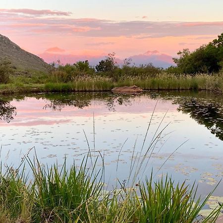 Leopard Valley Eco Retreat 锡特勒斯达尔 外观 照片