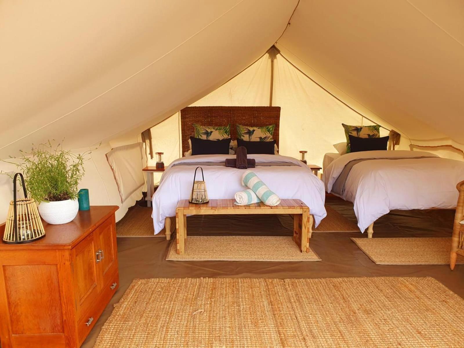 Leopard Valley Eco Retreat 锡特勒斯达尔 客房 照片