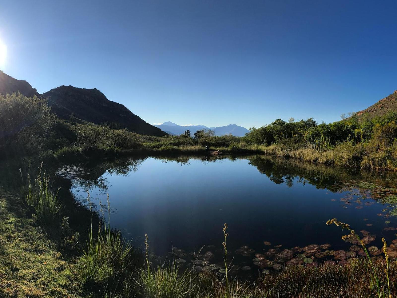 Leopard Valley Eco Retreat 锡特勒斯达尔 客房 照片