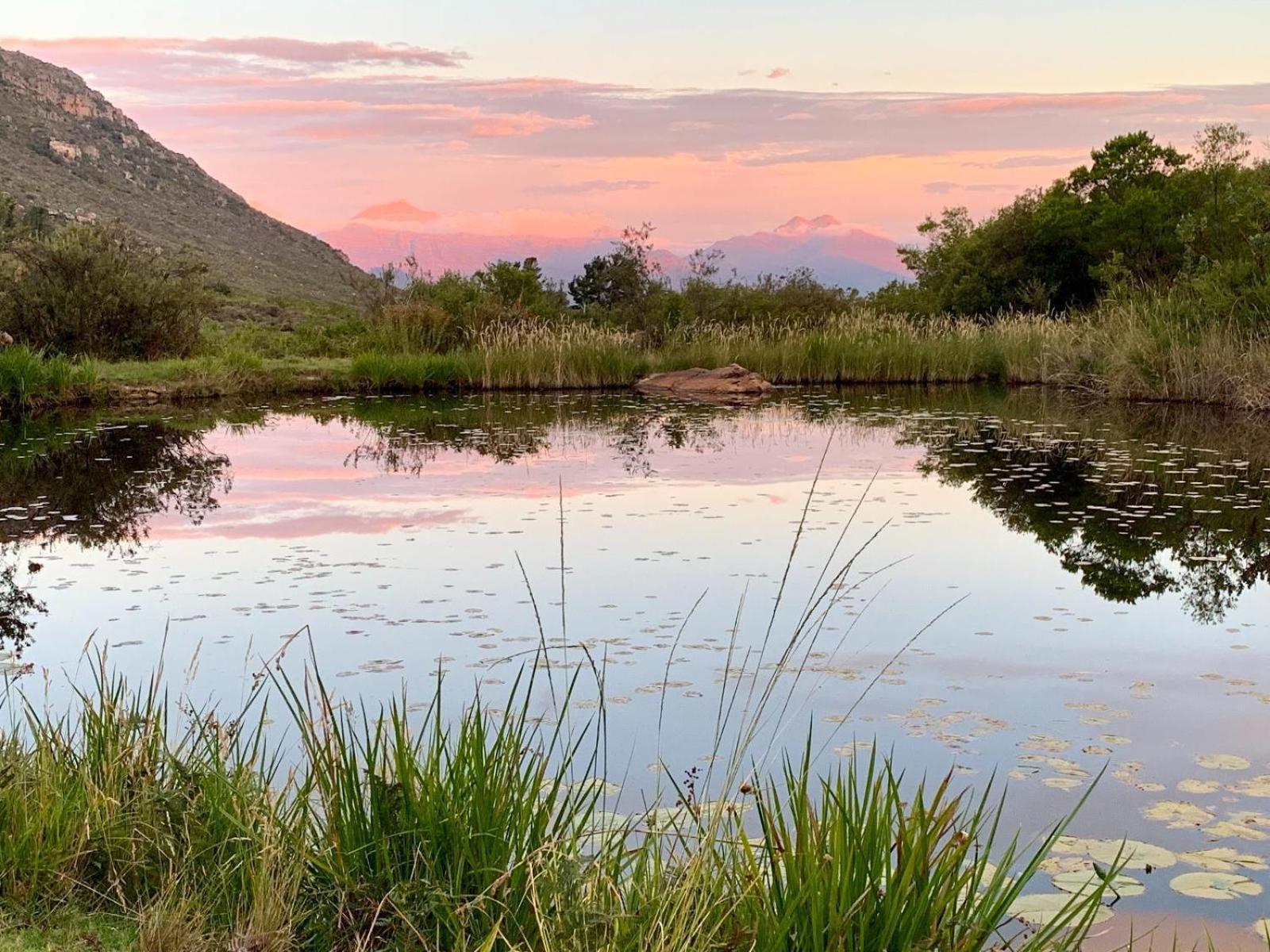 Leopard Valley Eco Retreat 锡特勒斯达尔 外观 照片