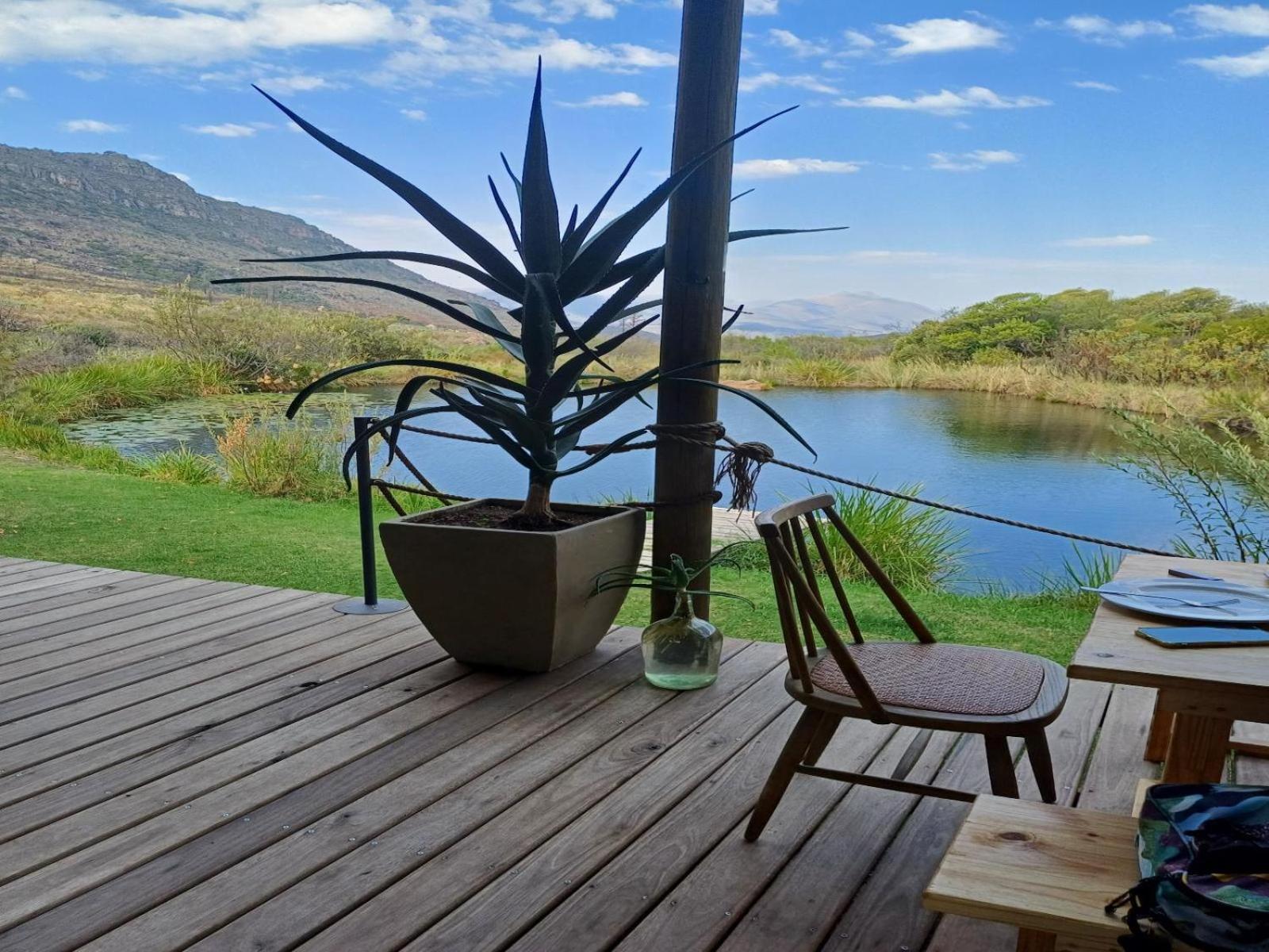 Leopard Valley Eco Retreat 锡特勒斯达尔 客房 照片